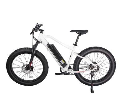 China Aluminum Alloy High Power Long Range Mid Motor Drive Vintage With CE Fat Tire Electric Bicycle Mountain Bike for sale