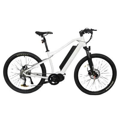 China Aluminum Alloy High Power Long Range MTB Bike Off Road Fat Tire Mountain City Off-road Electric Bike 48V 500W e Bike for sale