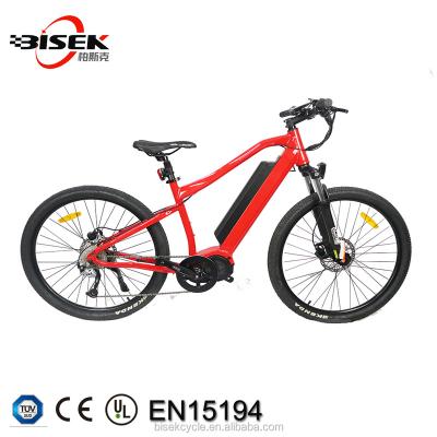 China High Power Aluminum Alloy Long Range Mid Motor Drive Mountain Electric Bike For Off Road Bicycle MTB Fat Tire Electric Bike for sale