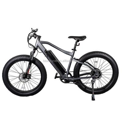 China Aluminum Alloy Big Power Off Road Electric Bike Long Range 500W Mountain Dirt E Bike Retro ev 250w Beach Cruiser for sale