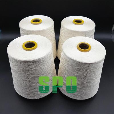 China Sustainable Mulberry Spun Silk Yarn 120nm/2 Top Grade On Cones For Japan Market Silk Fiber Cloth for sale