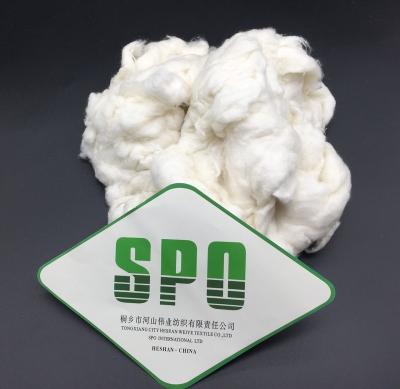 China Natural white pure silk noil s of mulberry silk 100% of SPO silk fiber for sale