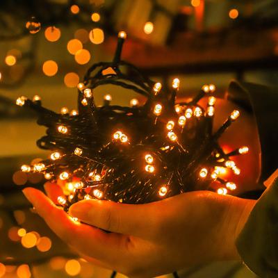 China High Brightness Outdoor Led Lawn Wall Garden Lamp Christmas Decorations Outdoor Led String Lights for sale