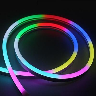 China HOT Waterproof IP65 LANDSCAPE DC12v Led Decorations Silicone Neon Light For Party for sale