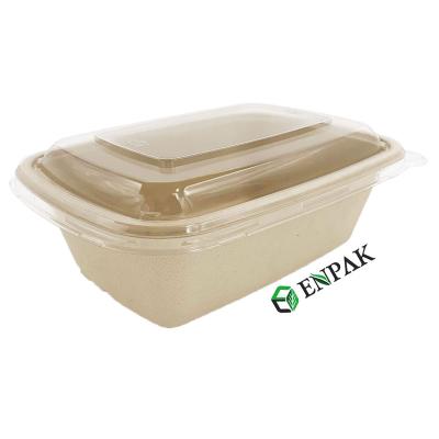 China Disposable Biodegradable Bagasse Takeout Food Container To Go Box Meal Box for sale