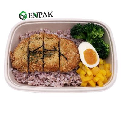 China Biodegradable Bento Bagasse Lunch Box Food Packaging Pulp Box for sale