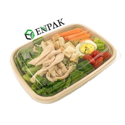 China Disposable Sugarcane Bagasse Food Packing Box Biodegradable Packaging for sale