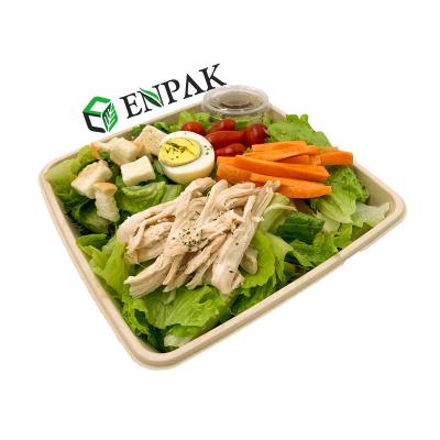 China Disposable Biodegradable Sugarcane Fiber Pulp Bamboo Food Tray Sugarcane Bagasse Lunch Box With Lid for sale