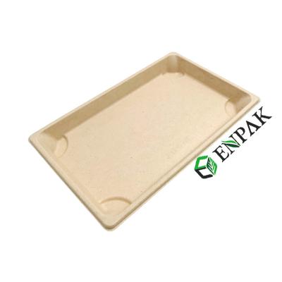 China Disposable Natural Sugarcane Bagasse Food Sushi Trays With Anti-fog Lid Microwavable PET Store for sale