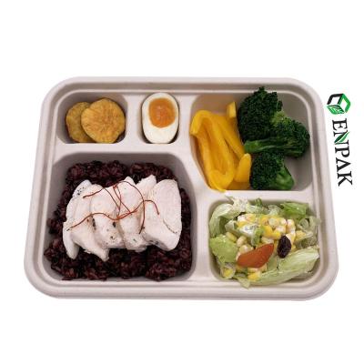 China Bamboo Food Tray Bagasse Rectangle Disposable 5 Compartment Biodegradable Sugarcane Pulp Plate for sale