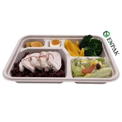 China Disposable Biodegradable Sugar Cane Bagasse 5 Compartment Paper Plates for sale