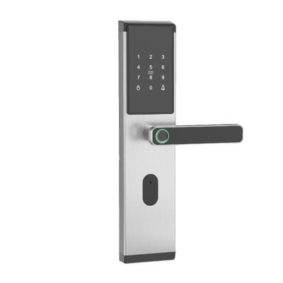 China Hotselling 2023 Stainless Steel Apartment Biometric Home Base Track TTlock BLE Digital Electric Smart Door Lock for sale