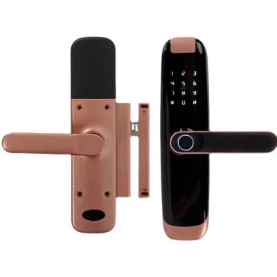 China WiFi Tuya Smart Wooden APP Lock Alluminum Alloy TTlock Password Door Smart Camera Remote Control Door Lock for sale