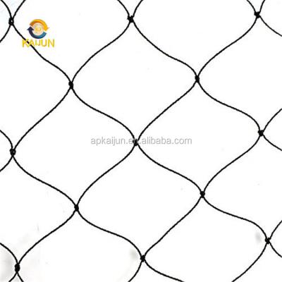 China HDPE +UV Stabilized / PP Poultry Aviary Lowe Cotton Net Bird Netting Vineyard for sale