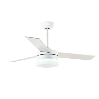 China Wholesale Hotel Ceiling Fans 48 Inch White Color BLDC Ceiling Fan With Remote Control Light LED for sale