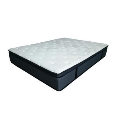 China Sleeping Furniture Bedroom Wholesaler Other 5 Star Orthopedic Spring Coil Hotel Roll Foam Mattress Well for sale