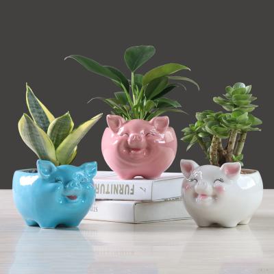 China Modern simple fleshy pig shape flower pot ceramic hydroponic flower pot small for sale