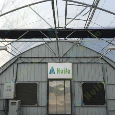 China Special Medical Growing Dep Greenhouse Agriculture Greenhouse Light Deprivation Blackout Automatic Greenhouse for sale