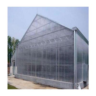 China USA Light Automatic Blackout Greenhouse Depravity Greenhouse Special Medical Small Growing Polycarbonate Greenhouse for sale