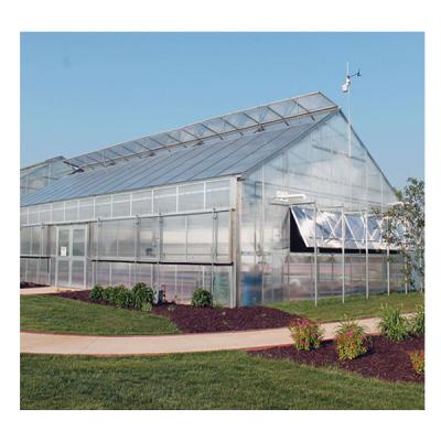 China Australiaauto Deprivation Greenhouse Special Medical Growing Light Dep System Greenhouse Polycarbonate for sale