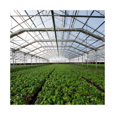 China Huifa Special Medical Growing Fully Automated Deprivation Greenhouse Light Dep Greenhouse Blackout System for sale