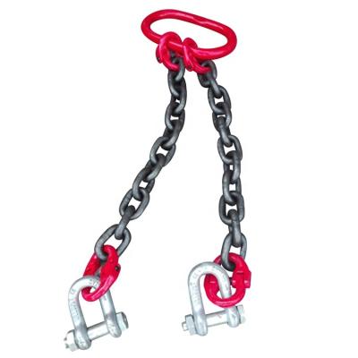 China For Lifting G80 Double Link Chain Legs Lifting Chain Sling for sale