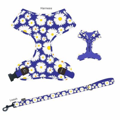 China Quick Release Dog Traction Rope Bowknot Collar Saliva Back Bag Set for sale