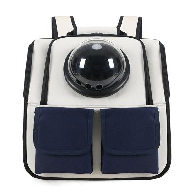 China Breathable Best Selling Small Medium Transparent Cat And Dog Backpack With Back Pocket Trolley Pet Bag for sale