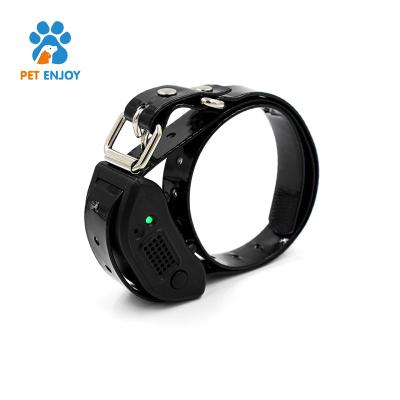 China Viable Owner's Voice Recording Black Rechargeable Remote Dog Anti Shock Bark Collar for sale