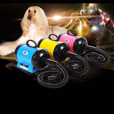 China High Power 2800W Durable High Quality Pet Single Motor Stepless Adjusting Dog Cat Hair Dryer Brush Machine for sale