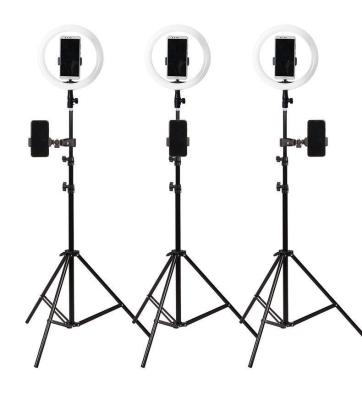 China Photography Portable Flexible Studio Light Stand Adjustable 200CM Max Tripod with 1/4 Screw Head for Camera Photo Softbox Ring Light Lamp for sale