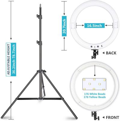 China 20 Inch LED Ring Light USB Charger for Portrait Video Makeup Selfie Photography 20inch for sale