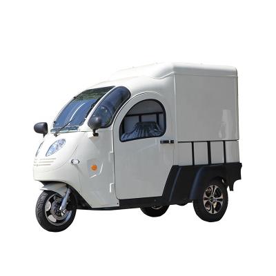 China Yumbomobility leather small electric mini cargo van truck made in china for sale