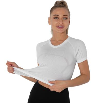 China Sports Shirts 2022 Comfortable Women Sweat Wicking Sports Quick Dry Women's Fitness T-Shirts for sale