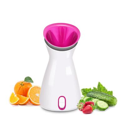 China Custom Professional Mini Warm Face Spa Nano Mist Sprayer DEEP CLEANSING Ionic Facial Steamer For Home Use for sale