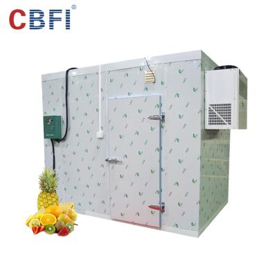 China Container Negative Temperature Walk In Blast Freezer For Frozen Seafood for sale