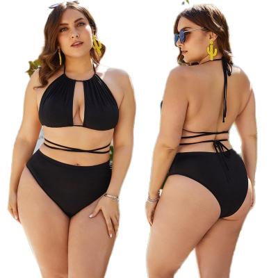 China Female plus size plus size swimwear crop cut two piece cross tie waist string bikini top lower ecological swimwear for sale