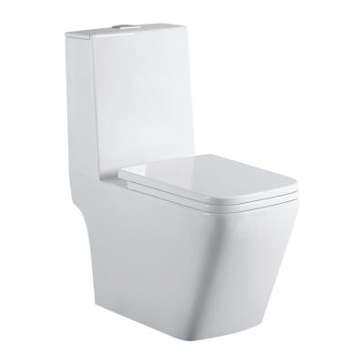 China Hospital School Mall Ceramic Strap P-trap Hot Selling Flush Double One-Piece Double Toilet for sale