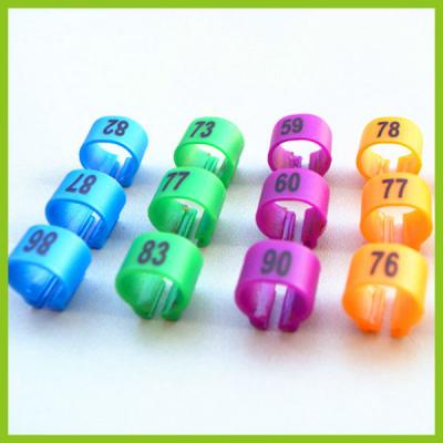 China 2015 Viable Different Colored Pigeon Rings Clip Supply By China Manufacture for sale