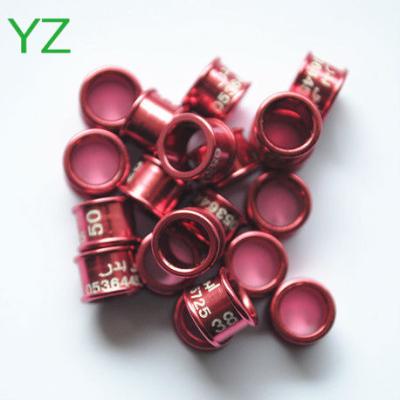 China New Viable Engraving Aluminum Letters 6mm Rings Birds Supplier By China Manufacture for sale