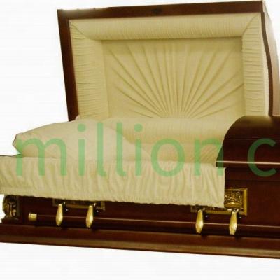 China American style solid poplar coffin with high quality plastic material for sale