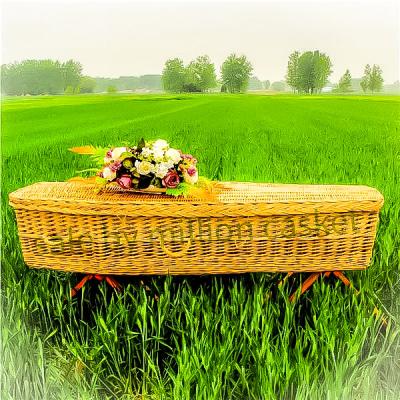 China Wholesale cheap hot sale coffin wc-1903 T willow casket prices ECO style European green coffin casket for sale