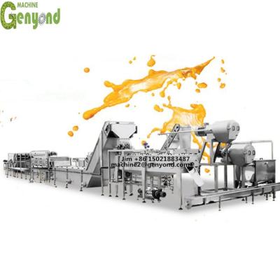 China Apple factory hot sale mini juice plant with good price for sale