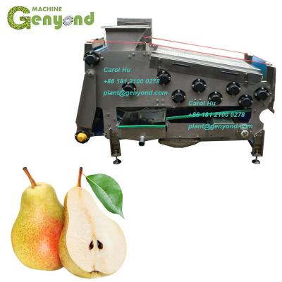 China Beverage Factory Best Selling Industrial Cold Pear Belt Filter Press Juicer for sale