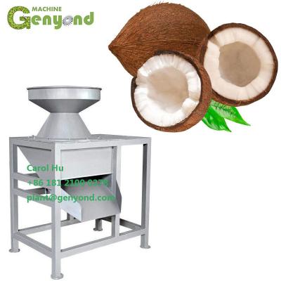 China Large Capacity Amazon Coconut Grater Grinding Machine for sale