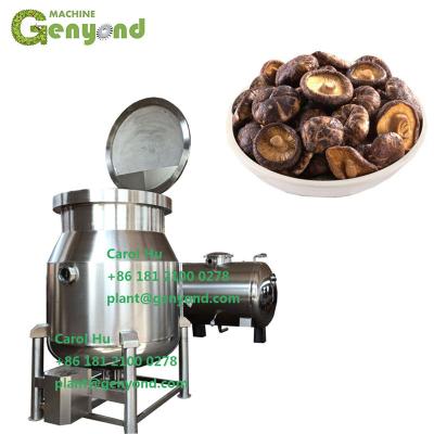 China Factory Small Vegetable Vacuum Frying Machine for sale