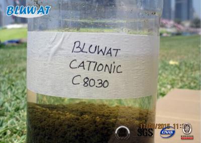 China Biological Flocculant Cationic Polyacrylamide Sludge Dewatering Treatment for sale