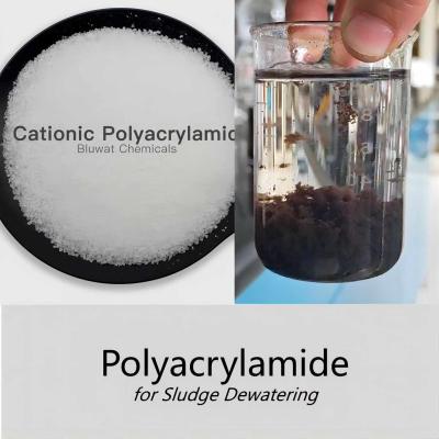 China Blufloc Cpam Cationic Polymer For Sludge Dewatering Processing for sale