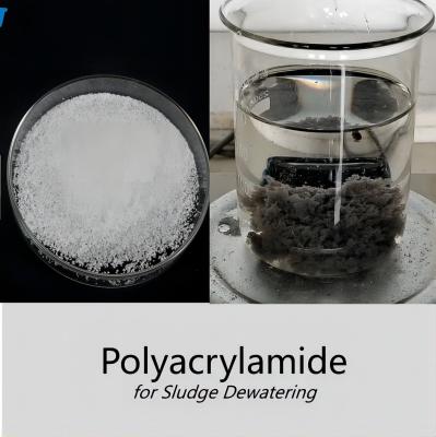 China CPAM Cationic Polymer Polyacrylamide For Sludge Dewatering Flocculant for sale