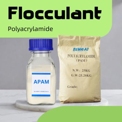 China Flocculant Polyacrylamide Anionic Polymer Water Chemistry  Chemical For Water Purification for sale